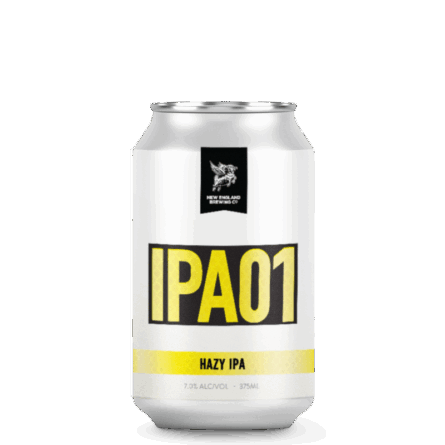 IPA01